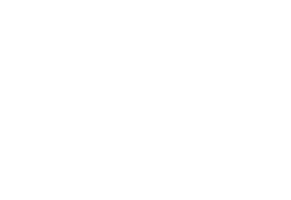Que Disparo Weddings